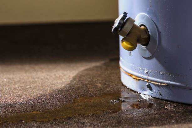 Best Basement water damage restoration  in East Camden, SC