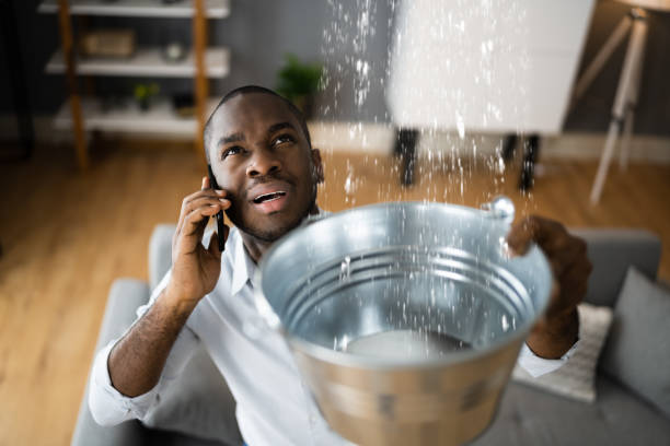 Best Local water damage restoration  in East Camden, SC