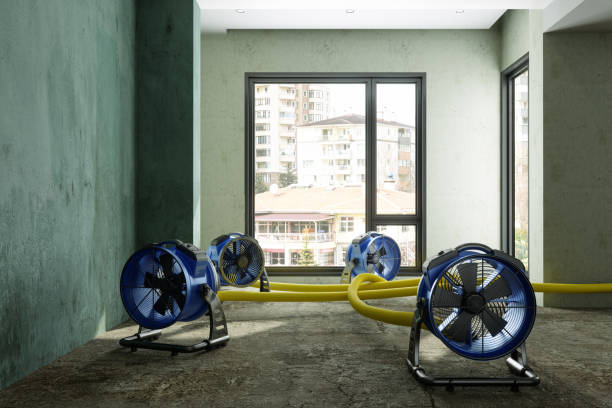 Water damage restoration insurance claims in SC